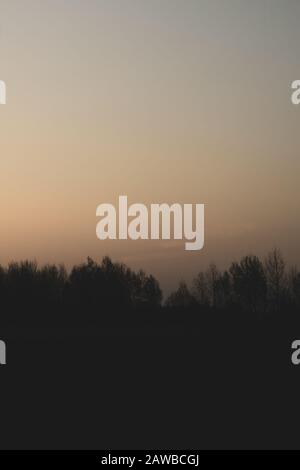 Silhouette des Waldes bei Sonnenuntergang, Sonne hinter dem Wald, Abendlandschaft Stockfoto