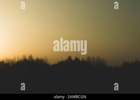 Silhouette des Waldes bei Sonnenuntergang, Sonne hinter dem Wald, Abendlandschaft Stockfoto