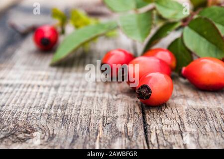 Rote Rosenhüften in der Nähe grüner Blätter liegen auf alten Holzbrettern. Nahaufnahme. Stockfoto