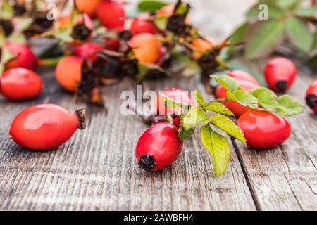 Viele frische Rosen-Hüften auf einem Holztisch. Nahaufnahme. Stockfoto