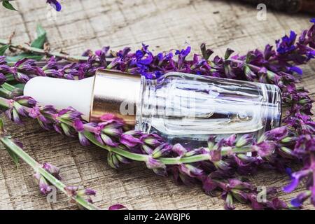 Lavendel ätherisches Öl in einer Glasflasche auf einem Holztisch in der Nähe der Äste des blühenden Lavendels. Tinktur oder ätherisches Öl mit Lavendel. Spa-Kräuter Stockfoto