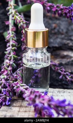 Lavendel ätherisches Öl in einer Glasflasche und Lavendelfarben auf einem rustikalen Holzhintergrund. Tinktur oder ätherisches Öl mit Lavendel. Spa kräutermedici Stockfoto