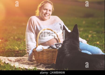 Schwangere Frau und ihr Hund spielen im Park. Stockfoto