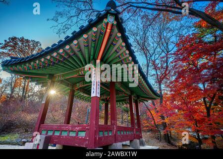 Der Changdeokgung Palace in Seoul, Südkorea mit seinem geheimen Garten ist im Herbst spektakulär. Stockfoto