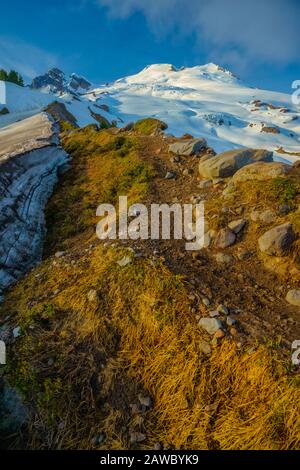 Mt. Baker, WA Stockfoto