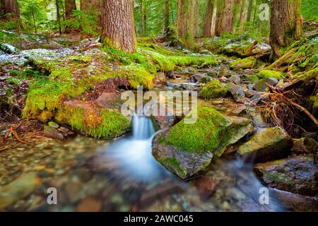 Winter in der Nähe von Mowich und Eunice Lakes in Mt. Rainier National Park. Stockfoto