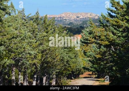 Horta de Sant Joan, ein Dorf auf einem Hügel in der Nähe des Naturparks Els Ports, Katalonien Stockfoto