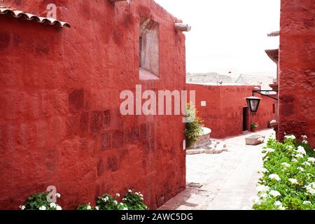 Straße im Kloster Santa Catalina, Arequipa, Peru, alte Terrakotta-Wände, entlang der Wände von Geranien in weißen Töpfen. Stockfoto