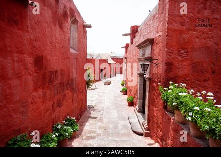 Straße im Kloster Santa Catalina, Arequipa, Peru, alte Wände aus Terrakotta, entlang der Wände von Geranien in weißen Töpfen, alte Laterne. Stockfoto