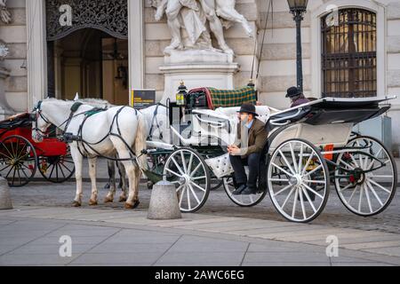 Wien, Österreich 25. November 2019 - Pferdekutsche oder Fiaker Stockfoto