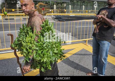 Für das Hindu-Festival in Thaipusam ist ein Teilnehmer mit Seilen verbunden, von denen er einen kleinen festlichen Wagen (außerhalb des Rahmens) zieht; Singapur Stockfoto