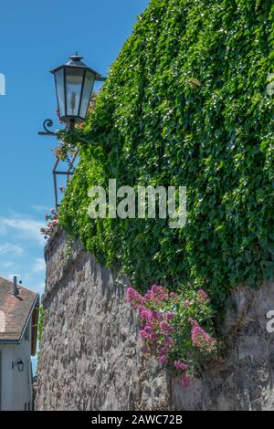 Straßenlaterne an der Steinmauer mit grünem Efeustein Stockfoto
