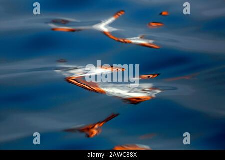 Moody Abstract Bild der Künstlerischen grafischen Wasserreflexionen für Buchumschläge oder andere künstlerische Verwendung IV Stockfoto