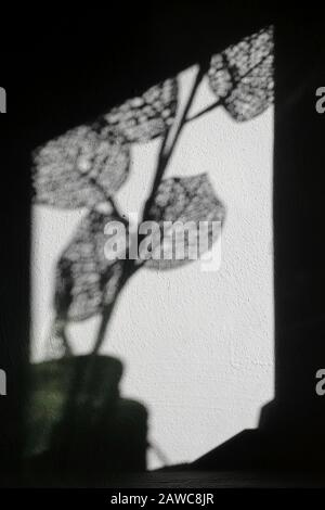 Moody Abstract Bild von Netlike Shadows for Book Covers oder anderer künstlerischer Verwendung VI Stockfoto