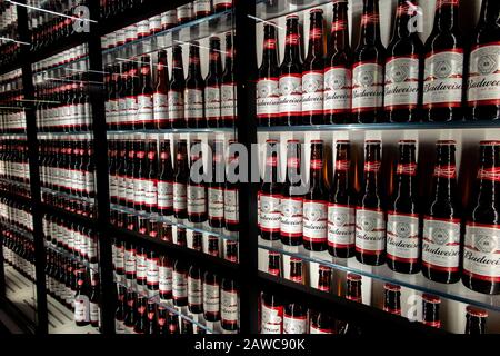 Eine große Auswahl an Budweiser Bieren an einem Konzert-Veranstaltungsort in London Stockfoto