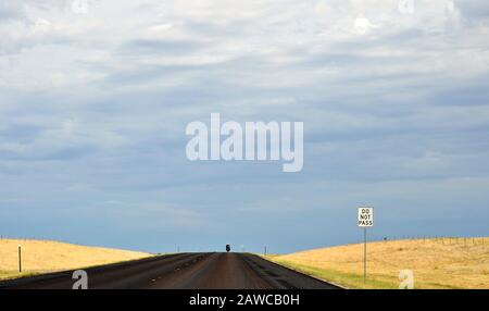 Ein einsamer Biker fährt mit seinem Motorrad auf einer leeren Autobahn durch gelbe Felder in Richtung eines Sommersturms - South Dakota, USA Stockfoto