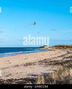 Yellowcraig, East Lothian, Schottland, Großbritannien. Februar 2020. Wetter in Großbritannien: Ein sonniger, aber sehr windig Tag am Strand am Ufer des Firth of Forth als Wetterfront läutet die Ankunft von Storm Ciara ein. Gutes Wetter zum Drachenfliegen Stockfoto