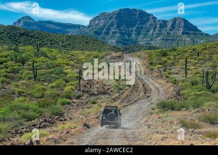Offroad fahren in Mexico Baja California Landschaft schöne Farben panorama Wüste Straße Stockfoto