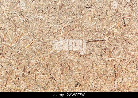 Nahaufnahme des braunen Hintergrundes der Heutextur Stockfoto