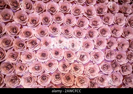 Eine Wand aus rosafarbenen Blumen. Stockfoto