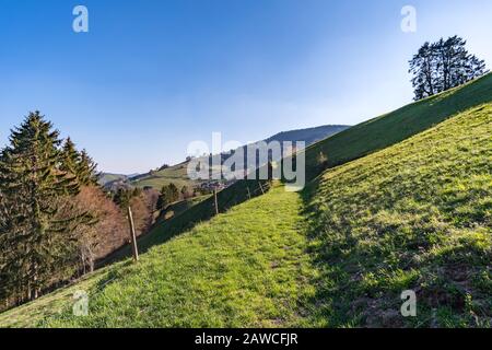 Auf dem Premiumwanderweg Belchensteig im schönen Schwarzwald bei Wieden, Todtnau Stockfoto