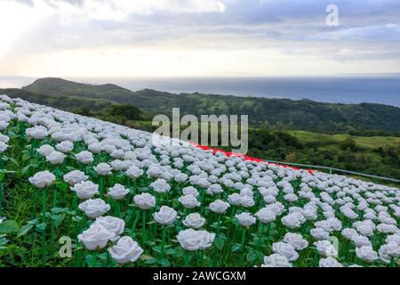 Sonnenuntergang am Lintaon Peak & Cave/16k Blossoms in Baybay City, Leyte, Philippinen Stockfoto