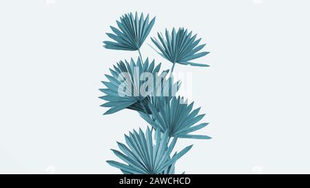 Green Sun Palm Leafs Stielbündel Stockfoto