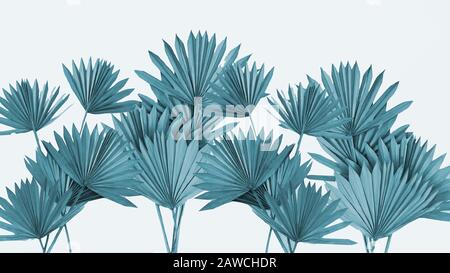 Green Sun Palm Leafs Stielbündel Stockfoto