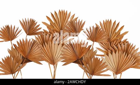 Getrockneter Sun Palm Leafs Schaftbund Stockfoto