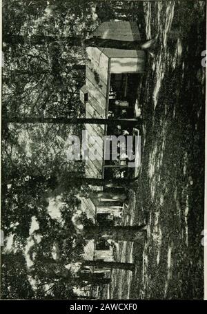 Tuberkulose im Säuglingsalter und im Kindesalter: Seine Pathologie, Prävention und Behandlung. Unty Council, Mr. Blair, der leitende Angestellte und andere, die an der Durchführung der Freiluftschule interessiert sind.- Dieser Epochenmarkingbericht sollte von allen an der Schulleitung oder in irgendeiner Weise für die Betreuung von Schulkindern zuständigen Personen untersucht werden. Itenthält eine Reihe von lehrreichen Illustrationen, die den Kindern zeigen, die mit körperlichen Übungen beschäftigt sind, an einer Lesestunde teilnehmen, eine untergehende Nachmittagsruhe, Graben, Skizzieren und Essen - alles im Freien. 1 Favill, H. B.: Spielplätze in der Prävention Stockfoto