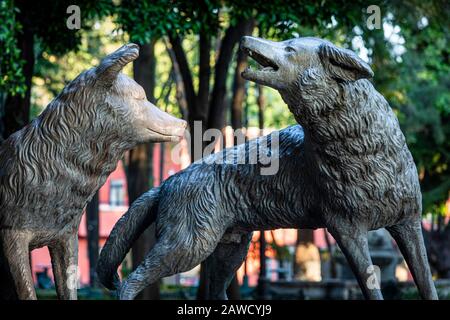 Der berühmte Kojote Brunnen von Coyoacan in Mexiko-Stadt, in der Nähe des Hauses von Frida Kahlo. Stockfoto