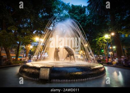 Dämmerung auf der plaza de Coyoacan in der Nähe des Hauses von Frida Kahlo, Mexiko-Stadt, Mexiko. Stockfoto