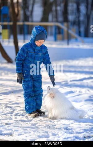 Kleiner Junge trainiert im Winter einen Spitzhund im Park Stockfoto