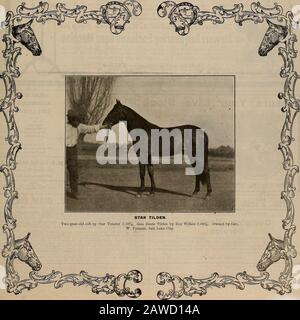 Züchter und Sportler . VOLUMEN LVI. Nr. 12. SAN FRANCISCO, SAMSTAG, 19. MÄRZ 1910. Abonnement: 3,00 Usd Pro Träne. Der ZÜCHTER UND SPORTLER [Samstag, 19. März 1910. Destillierter ifernloc • M^-NAME REGISTRIERT •/;#^^§   VS%i. - PATENTIERT, 21. APRIL?T 1908- EXTRAKT Stockfoto