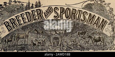 Züchter und Sportler . Schmelzen & BLEI CO., San Francisco, Cal. VOLUMEN LVI. Nr. 12. SAN FRANCISCO, SAMSTAG, 19. MÄRZ 1910. Abonnement: 3,00 Usd Pro Träne Stockfoto