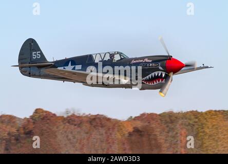 MONROE, NC (USA) - 9 November, 2019: eine P-40 Warhawk Fighter fliegt in den Baumkronen auf der Warbirds über Monroe Air Show. Stockfoto
