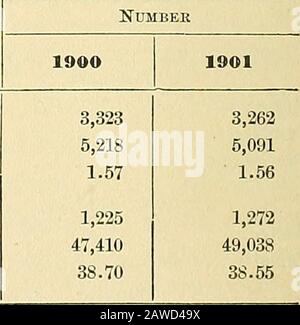 Jahresbericht über die Statistiken der Hersteller .. . bei den Zuschlagstoffen für 1900 und 1901 ergibt sich im späteren Jahr ein Zuwachs von 2,85 Prozent. Die Männer haben 2,07 Prozent, Frauen 4,79 Prozent und Sonderlinge, Banken usw., 1,75 Prozent eingeäschelt. In Anbetracht der ganzen Anzahl von Partnern und Aktionären stellen wir fest, dass die Partner 9,91 Prozent und die Aktionäre 90,09 Prozent der Anteile im Jahr 1900 und 9,41 Prozent bzw. 90,59 Prozent im Jahr 1901 ausmachen. Von der Aggre-Gate-Zahl der Männer waren 15,70 Prozent in privaten Firmsins 1900 und 15 Prozent im Jahr 1901. Des Femals Stockfoto