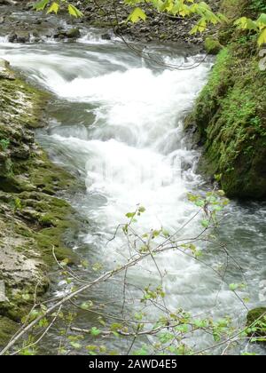 John Bryan State Park, Ohio Stockfoto