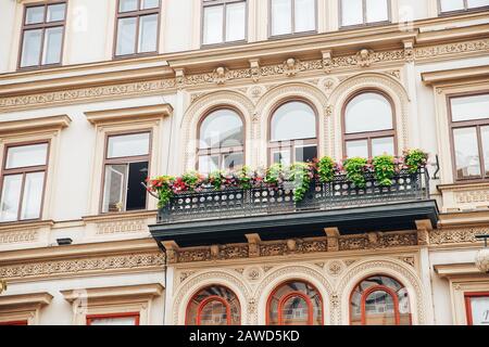 Drei gewölbte alte Fenster Zugang zu schwarzem schmiedeeisernem Balkon europäischer Architektur aus dem 18. Jahrhundert, dekoriert mit Topfblumen Stockfoto