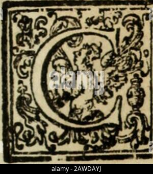 Thesaurus resolutionum Sacrae Congregationis ConciliiQuae consentaneè ad Tridentinorum P.Pdecreta, aliasque canonici juris sanctiones, ..prodierunt in causis ab anno 1718 usque ad.. . arathne ad cujus fuffragium ap-p/icandum ejfet SacrifiJum.ldeo Epifcopus Tinen.fupp/icat per S.Congre-gationem declarari , ein hujufmodi Sucrificium applicandumfitpro animaipfius Teftatoris, ein Vero /tapatuit. Die 18. Augufli 1668. Sac. Congregatio refpondit^ applican-dum ejfe sacrificium pro anima Teftatoris . Ha&gt;c funt, quae operae pretium effe cenfui adnotare , Stockfoto