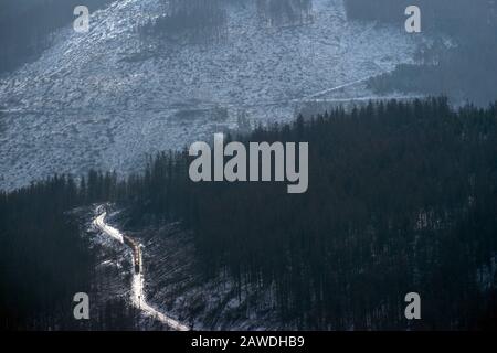 08. Februar 2020, Sachsen-Anhalt, Wernigerode: Eine Dampfeisenbahn der Harzer Schmalspurbahnen (HSB) führt durch den winterlichen Wald unterhalb des Brocken zum Gipfel. Foto: Klaus-Dietmar Gabbert / dpa-Zentralbild / ZB Stockfoto