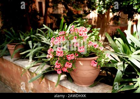 Kloster Agia Triad auf Crete in Griechenland. Schöne Terrasse im Sommer Stockfoto