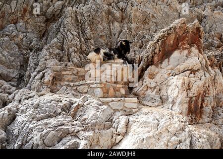 Seian Limania oder Agiou Stefanou, der himmlische Strand mit türkisfarbenem Wasser. Chania im Sommer Stockfoto