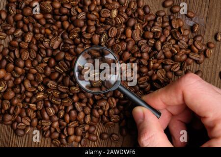 Das Konzept der Auswahl von Kaffeebohnen im Premiumsegment. Die Hand hält eine Lupe. Draufsicht. Stockfoto