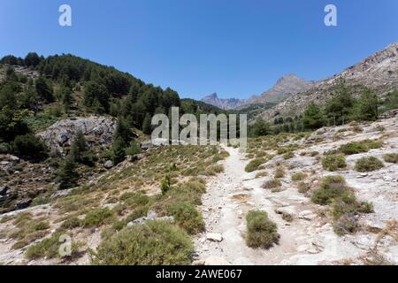 Wanderweg auf ehemaligen Maurerwegen in den Bergen von Korsika, Albertacce, Korsika, Frankreich Stockfoto