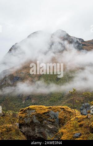 Parque Nacional el Cajas, Cuenca. Stockfoto