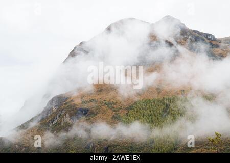 Parque Nacional el Cajas, Cuenca. Stockfoto