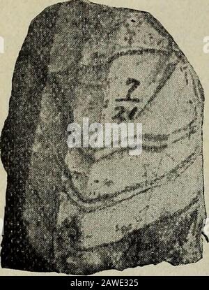 Ohio archäologische und historische vierteljährliche . Abb. 63 - Flintenmesser. (Durchschnittliche Länge 2 Zoll) in der Länge und ein und ein Viertel Zoll in der Breite an seinem Widestpart. Die nächste, im Schnitt dargestellte Schluchten ist wunderschön gemacht, alsoof der plano-konvexen Art fast rautenförmig, perforatedmit einem Loch, das sich im Zentrum der Gorge befindet, und von der konkaven Seite durchbohrt. Es ist drei und ein Viertel Zoll lang und ein Zoll breit an seiner breitesten Stelle. Während des ganzen Mounds und verstreut promiskuiös werefound große und kleine Stücke von Galenit, und alle zeigen einige Arbeit auf sie in der Art von Poli Stockfoto