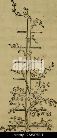 Das Illustrierte Jahresregister für ländliche Angelegenheiten und Kultivator Almanach für das Jahr .. . Stockfoto