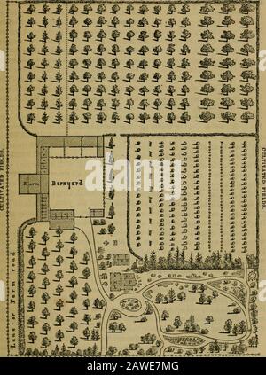 Das Illustrierte Jahresregister für ländliche Angelegenheiten und Kultivator Almanach für das Jahr .. . KULTIVIERTE FELDER. ÖFFENTLICHE STRASSE. Abb. 4-Land-Residenz, Bauernhäuser, Gelände und Obstgärten. @c:^&gt;- Stockfoto